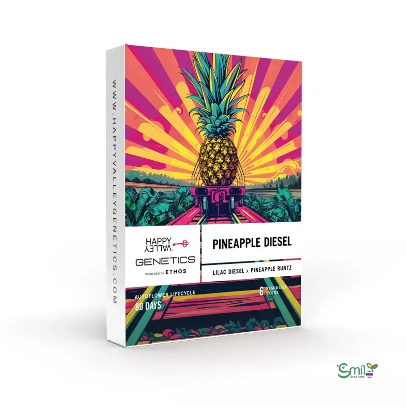 Pineapple Diesel Auto — 1