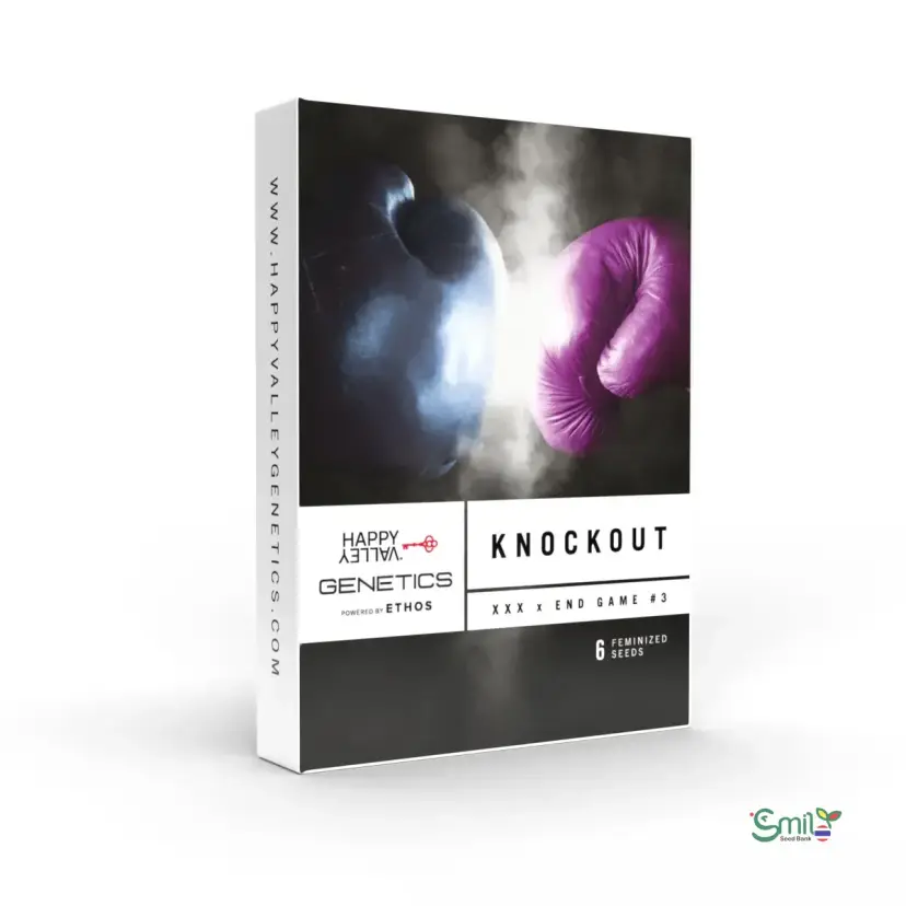 Knockout — 1