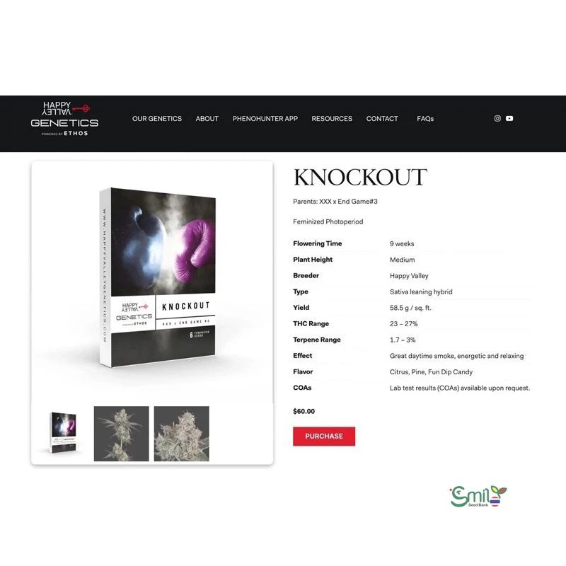 Knockout — 4