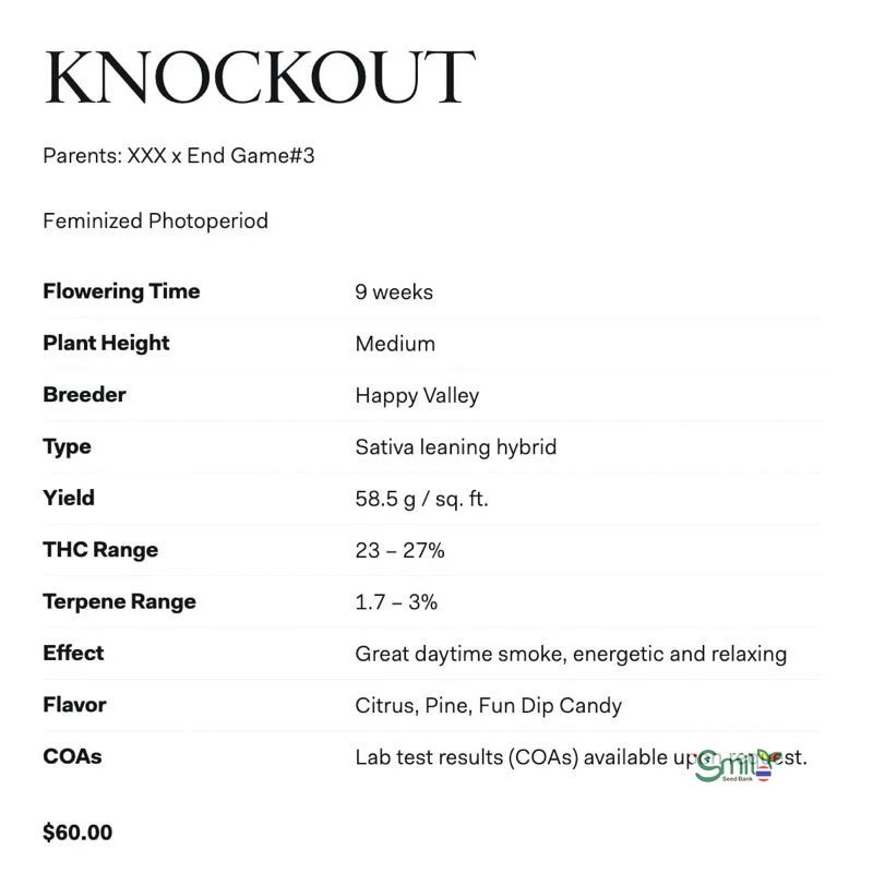 Knockout — 5
