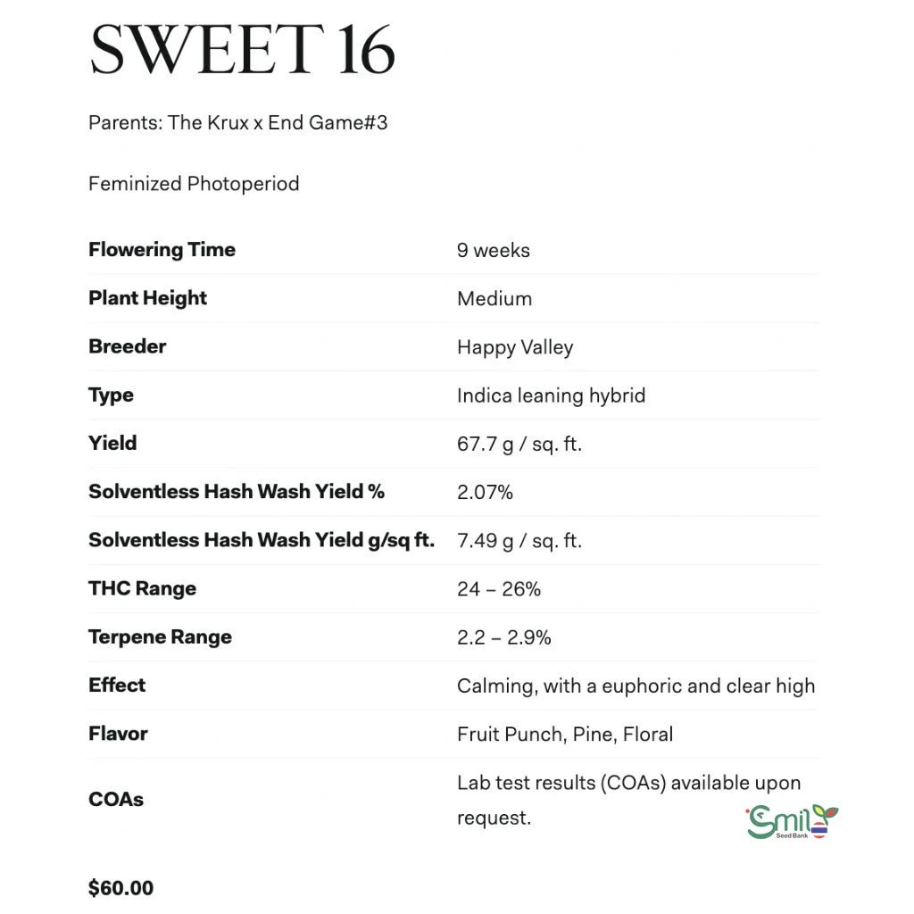 Sweet 16 — 5