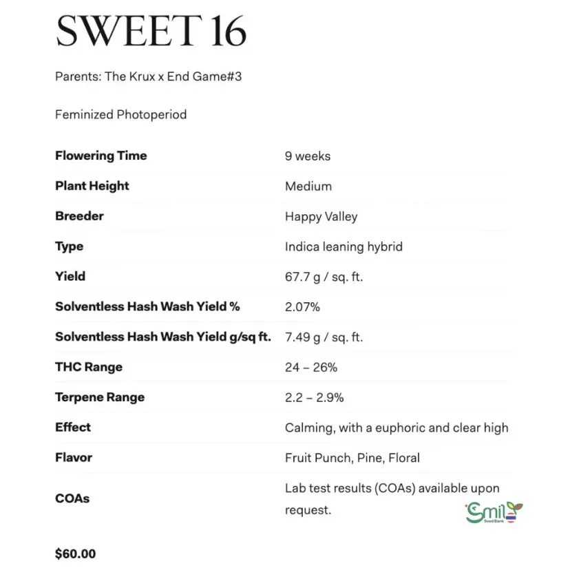 Sweet 16 — 5