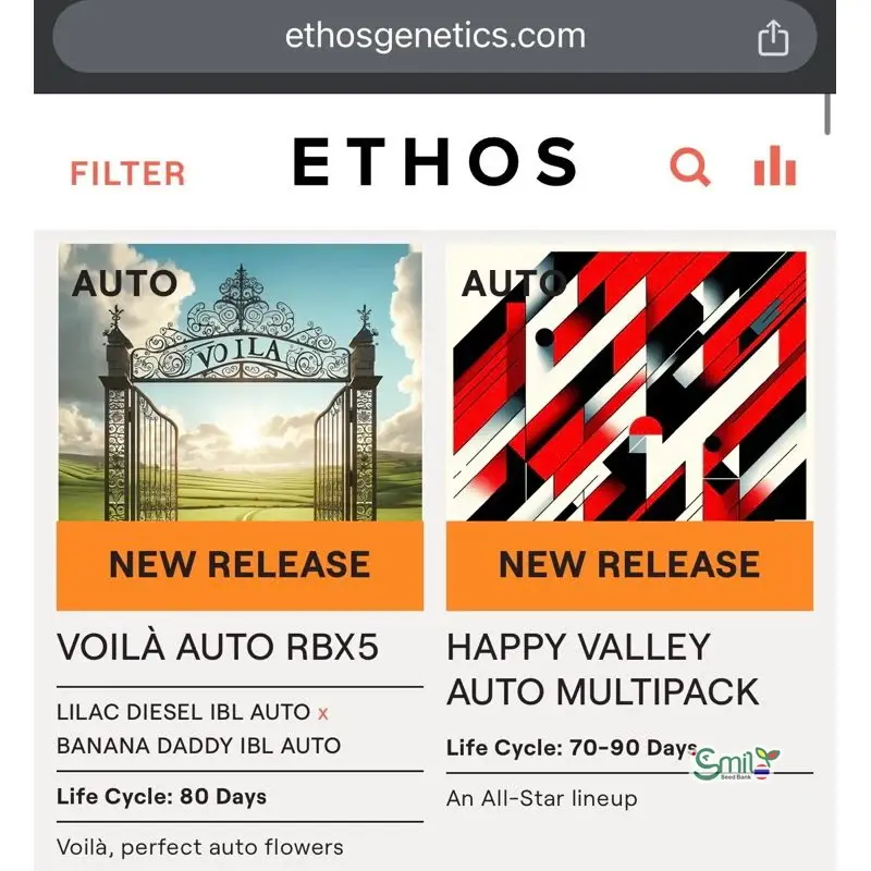 Happy Valley AUTO Multipack — 2