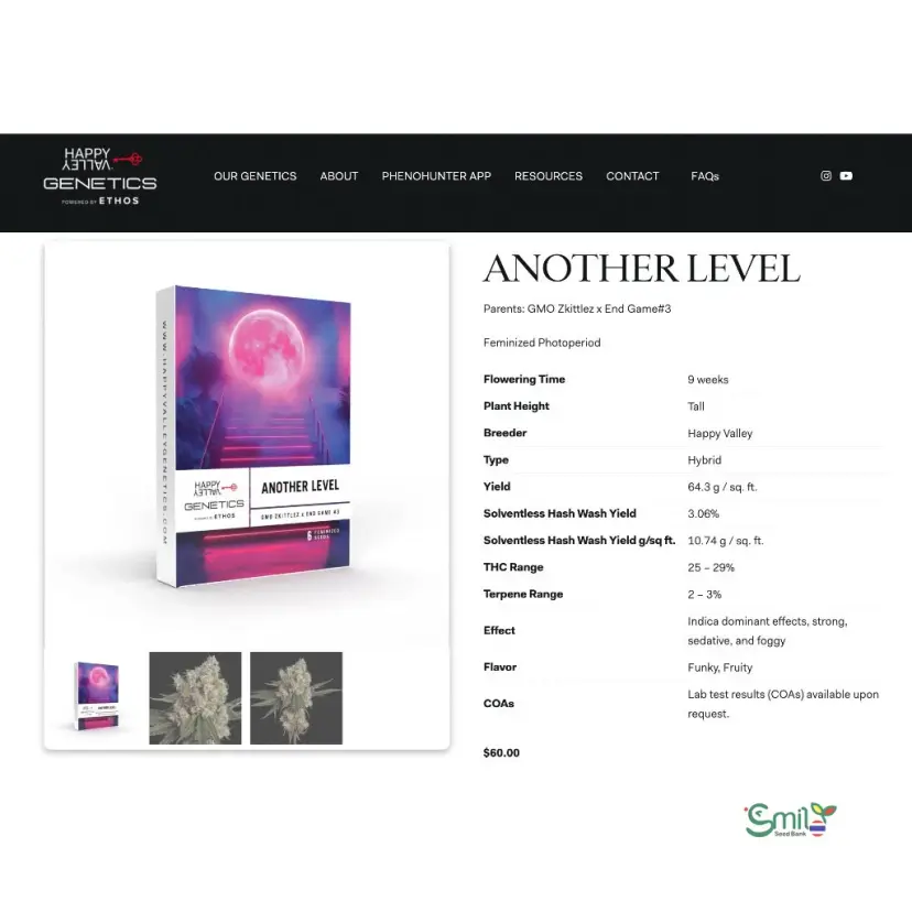 Another Level — 4