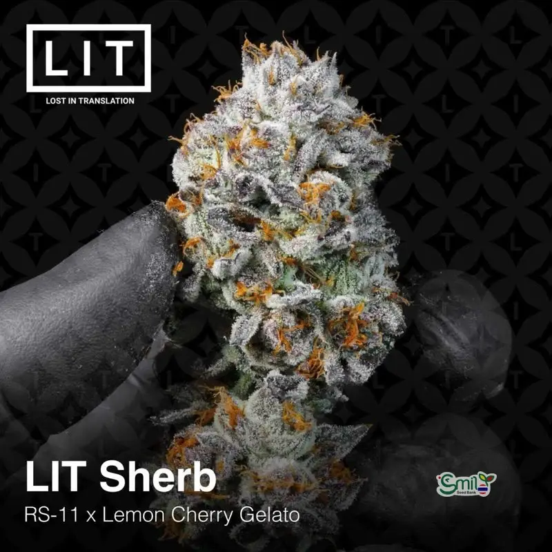 LIT Sherb — 2
