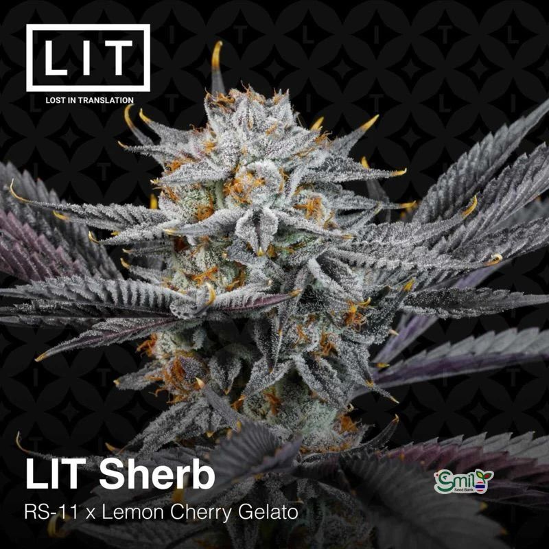 LIT Sherb