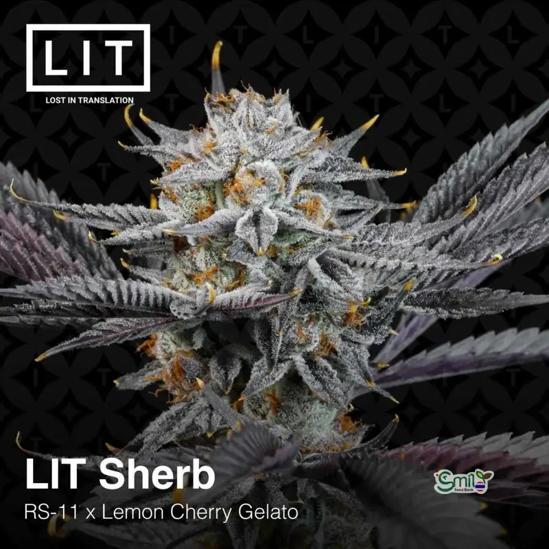 LIT Sherb — 1
