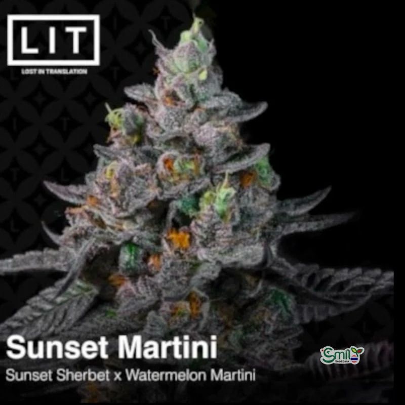 Sunset Martini