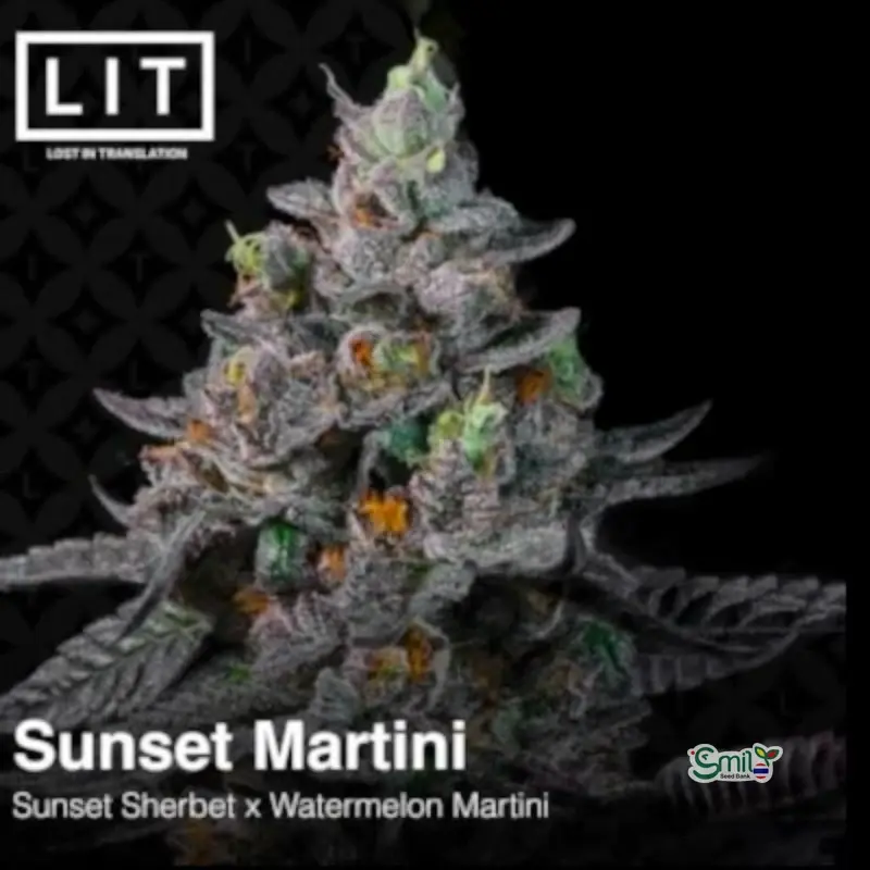 Sunset Martini — 2