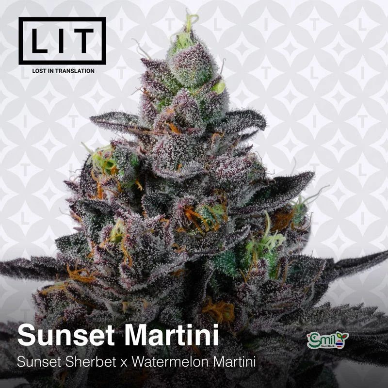 Sunset Martini — 3