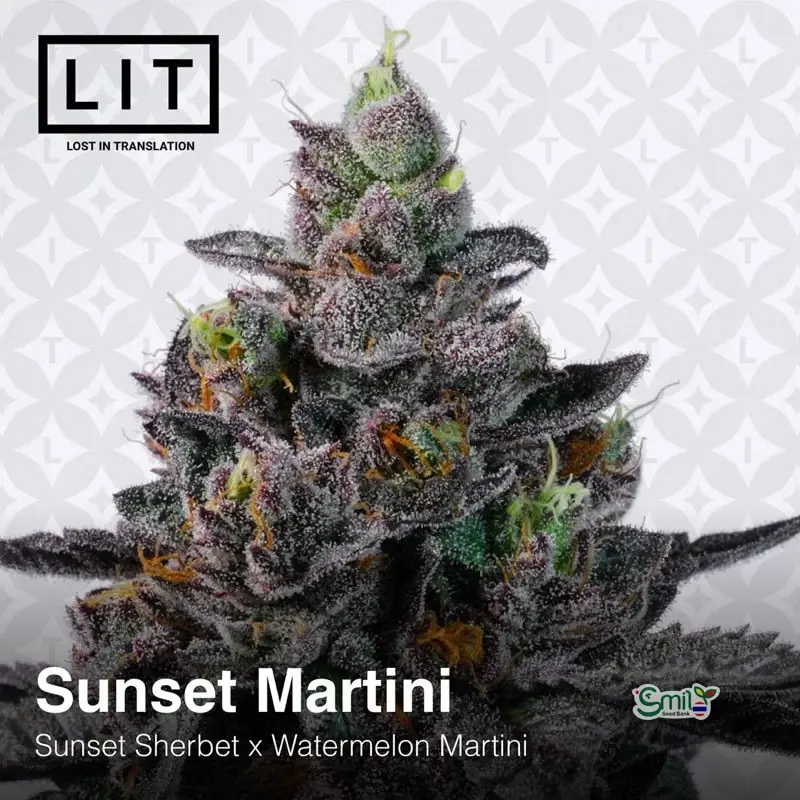 Sunset Martini — 3