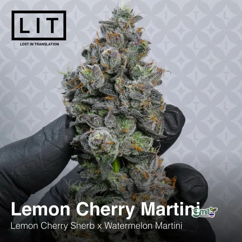 Lemon Cherry Martini — 2