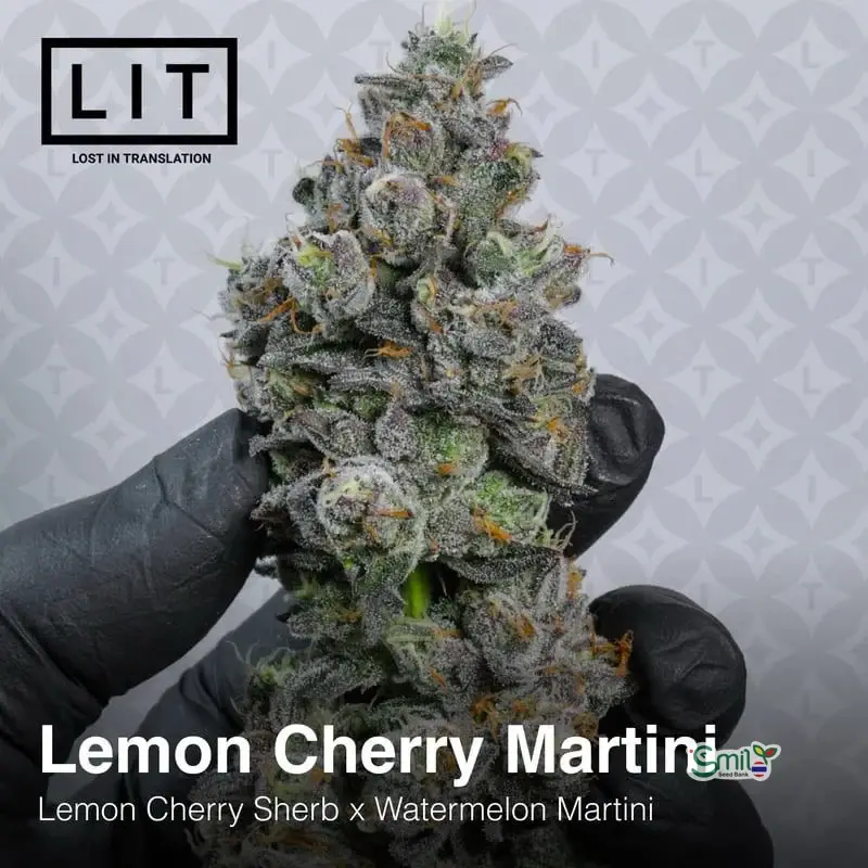 Lemon Cherry Martini — 2