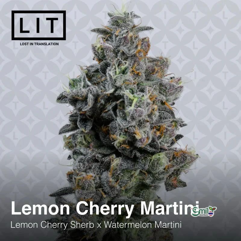 Lemon Cherry Martini