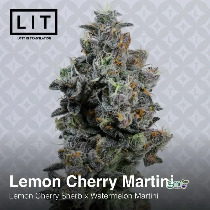 Lemon Cherry Martini — 3
