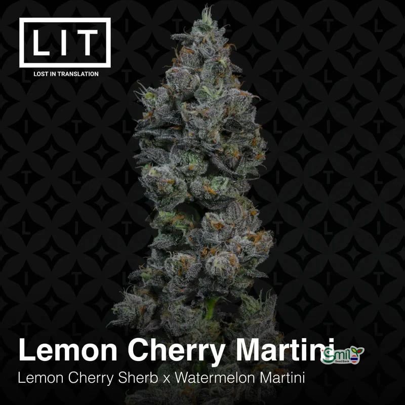 Lemon Cherry Martini — 4
