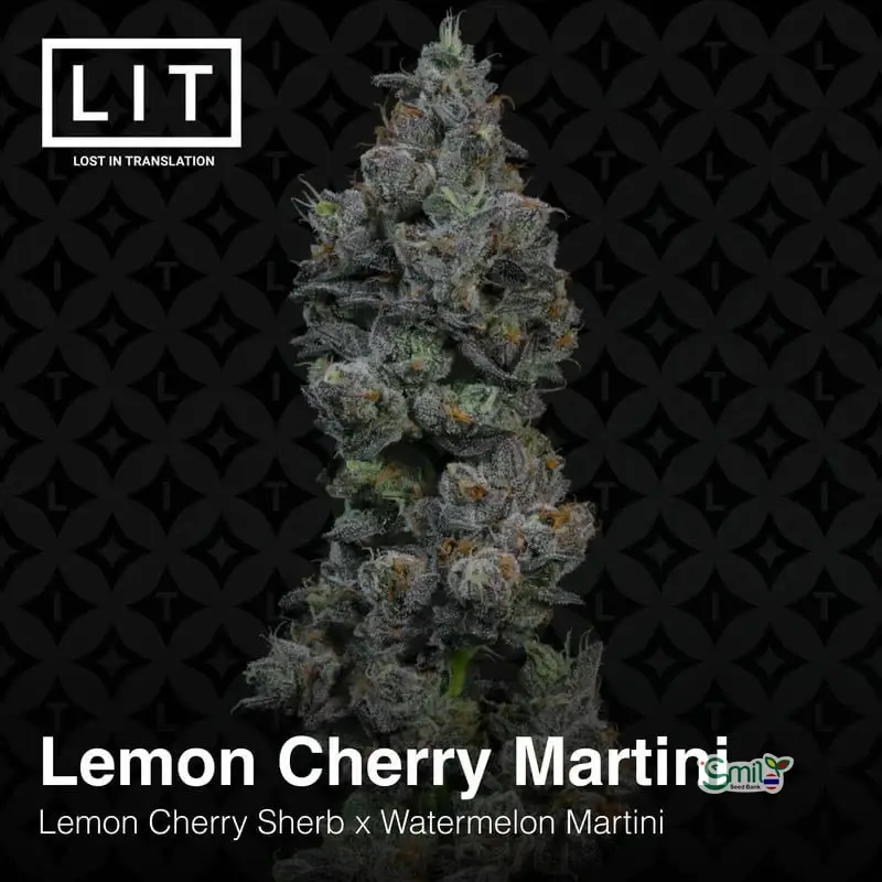 Lemon Cherry Martini — 4