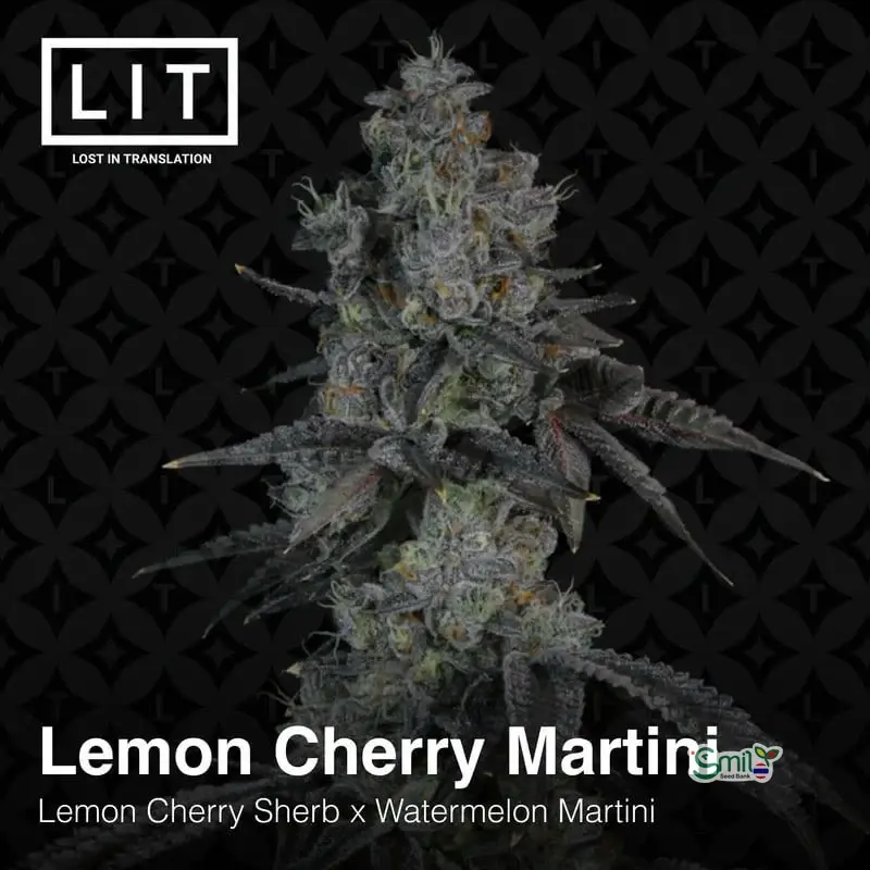 Lemon Cherry Martini — 5