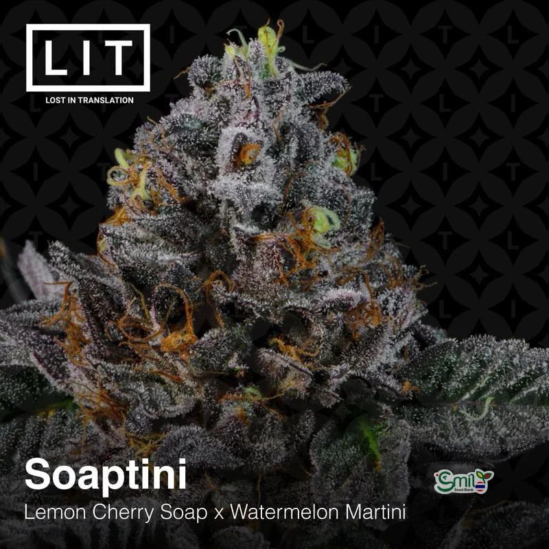 Soaptini