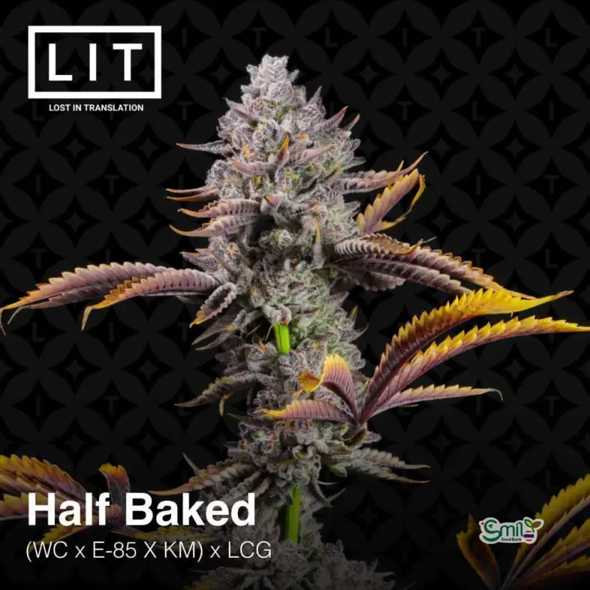 Half Baked — 3