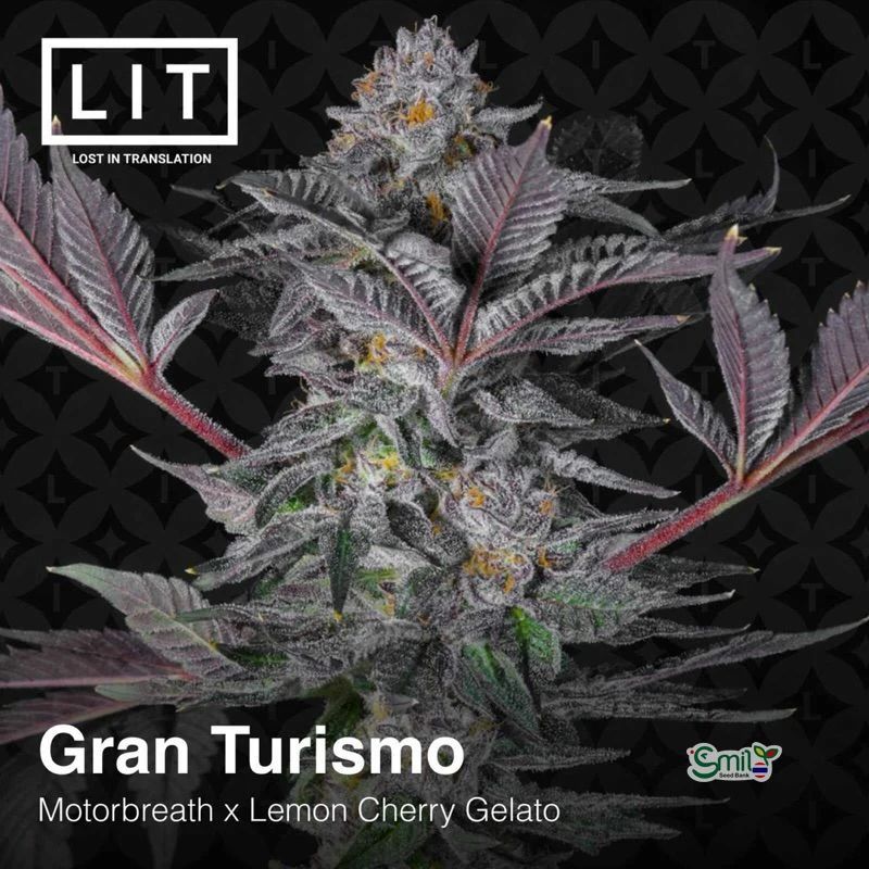 Gran Turismo — 2