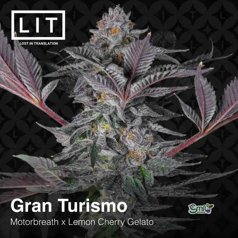 Gran Turismo — 2