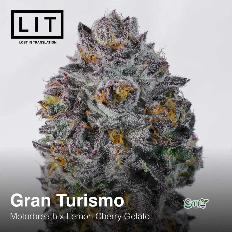Gran Turismo — 3