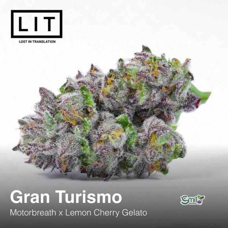 Gran Turismo — 4