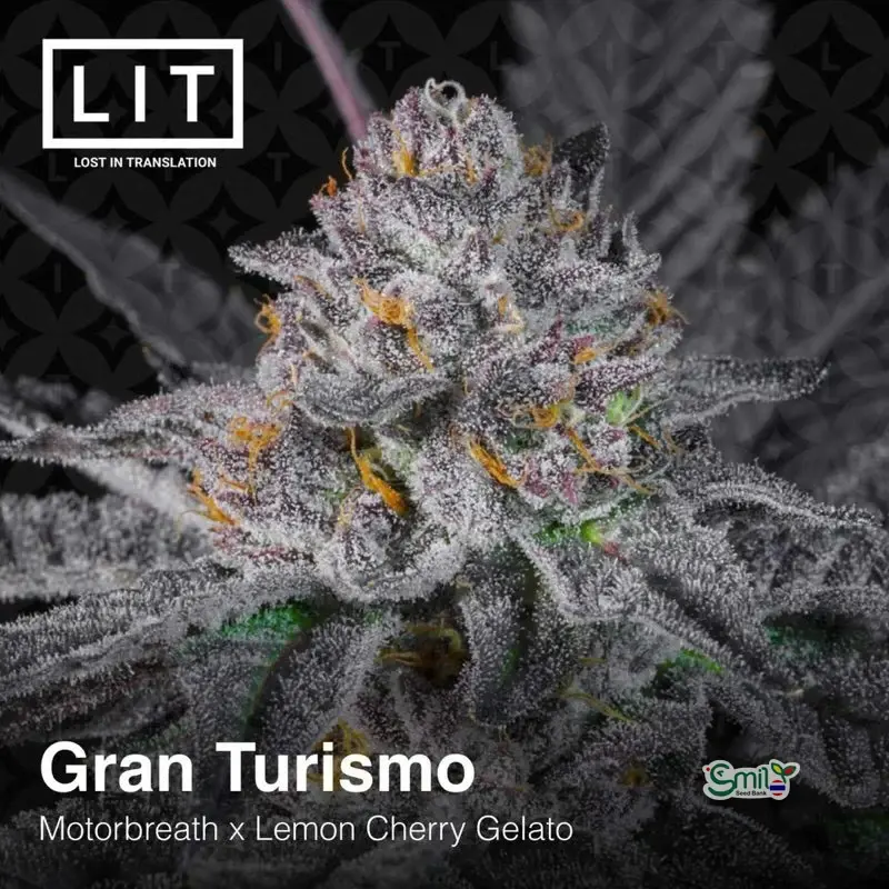 Gran Turismo — 5