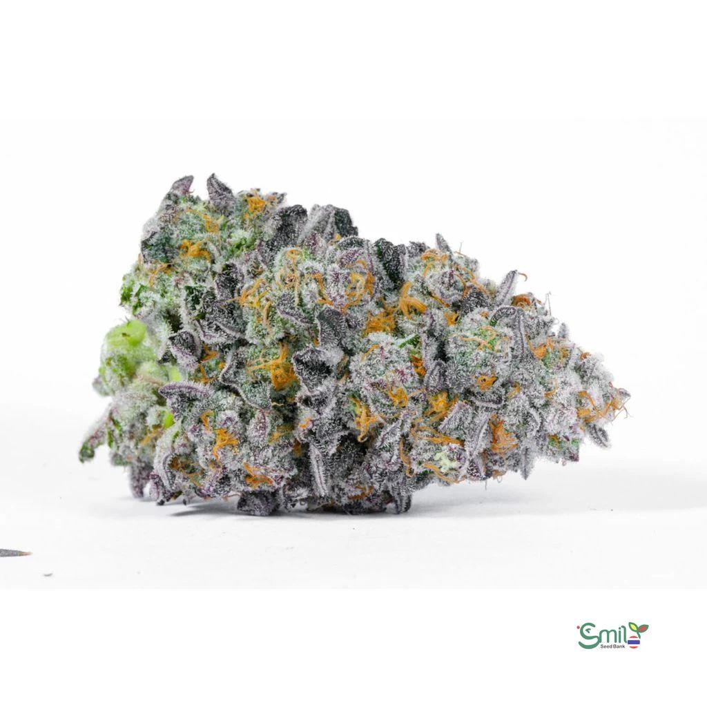 Rainbow Sugar — 4