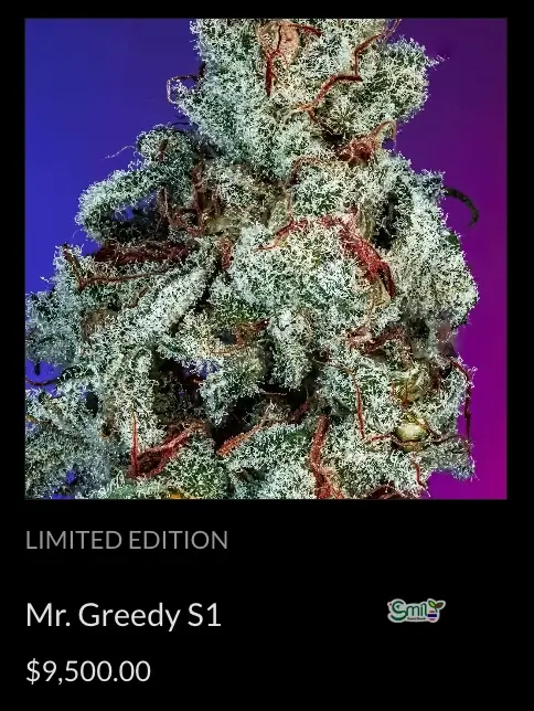 Mr. Greedy S1 — 2