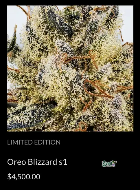 Oreo Blizzard S1 — 4