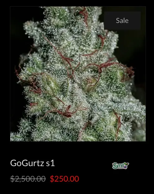 GoGurtz S1 — 2