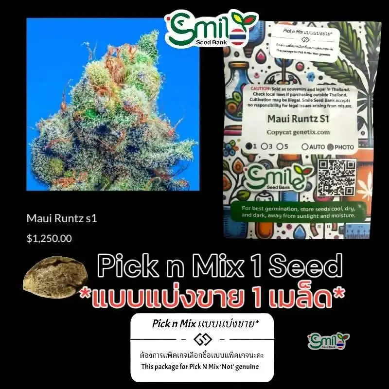 Maui Runtz S1 — 1