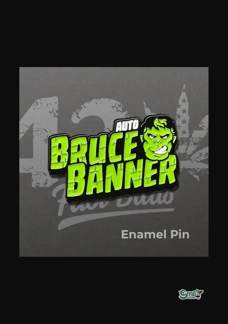 Enamel Pin Bruce Banner