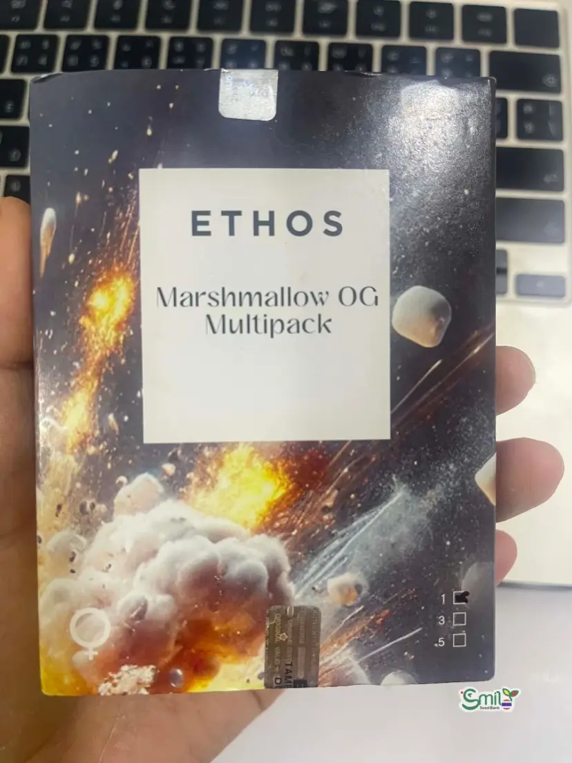 Marshmallow OG Multipack — 3