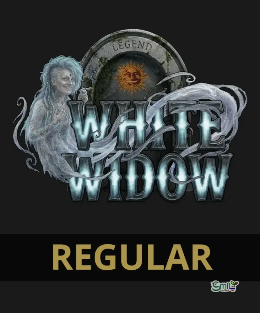 White Widow (Regular) — 5