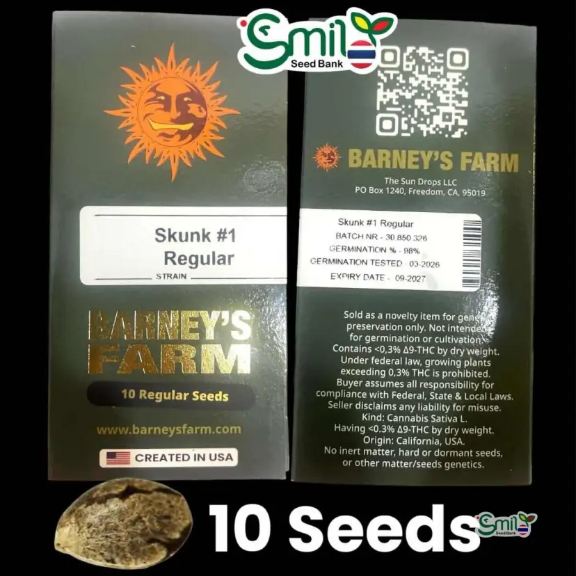 Skunk #1 (Regular) — 1