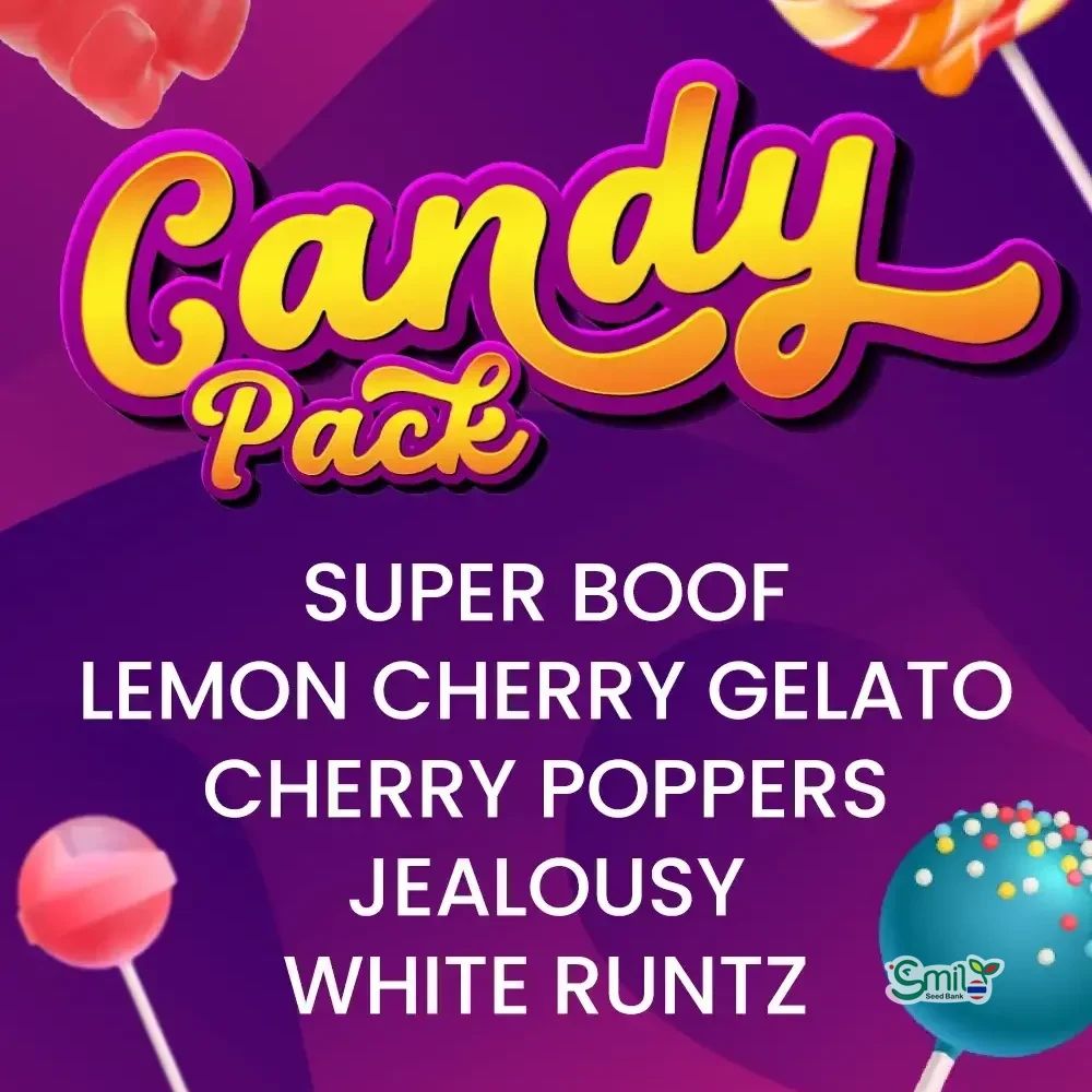 CANDY PACK (MULTIPLE GENETICS)
