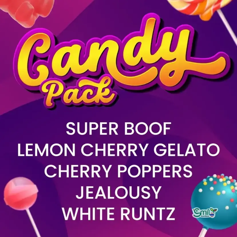 CANDY PACK (MULTIPLE GENETICS) — 2