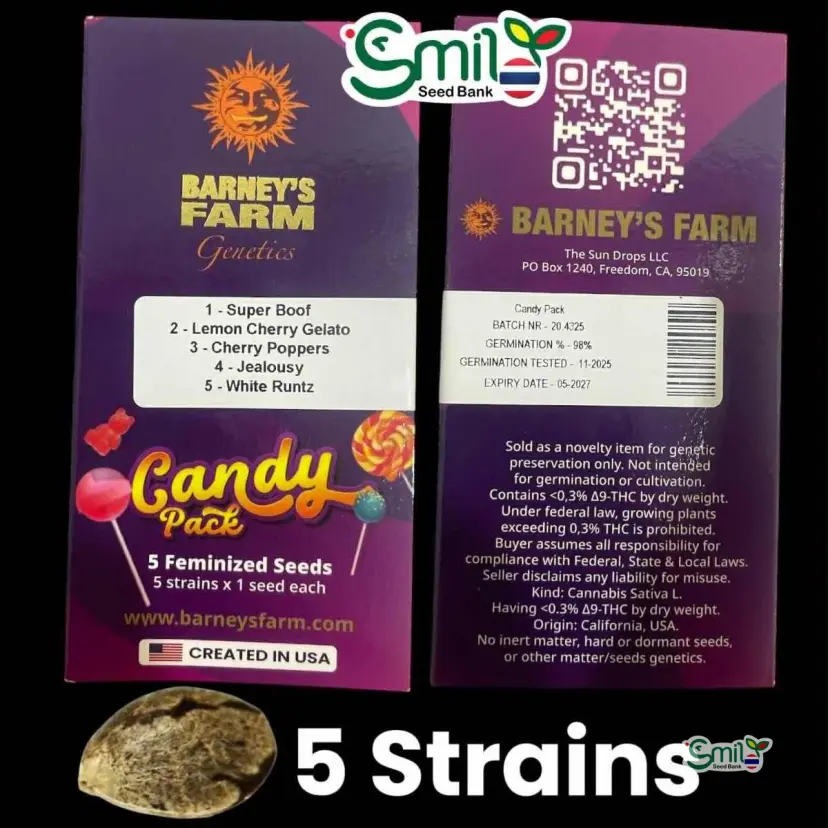 CANDY PACK (MULTIPLE GENETICS) — 1