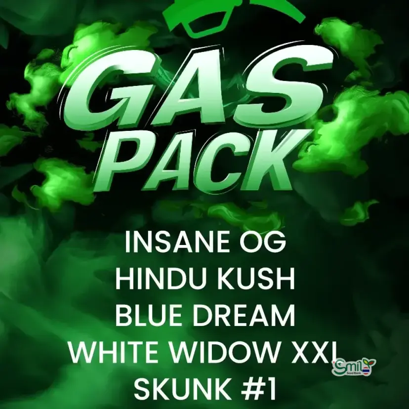 GAS PACK (MULTIPLE GENETICS) — 2