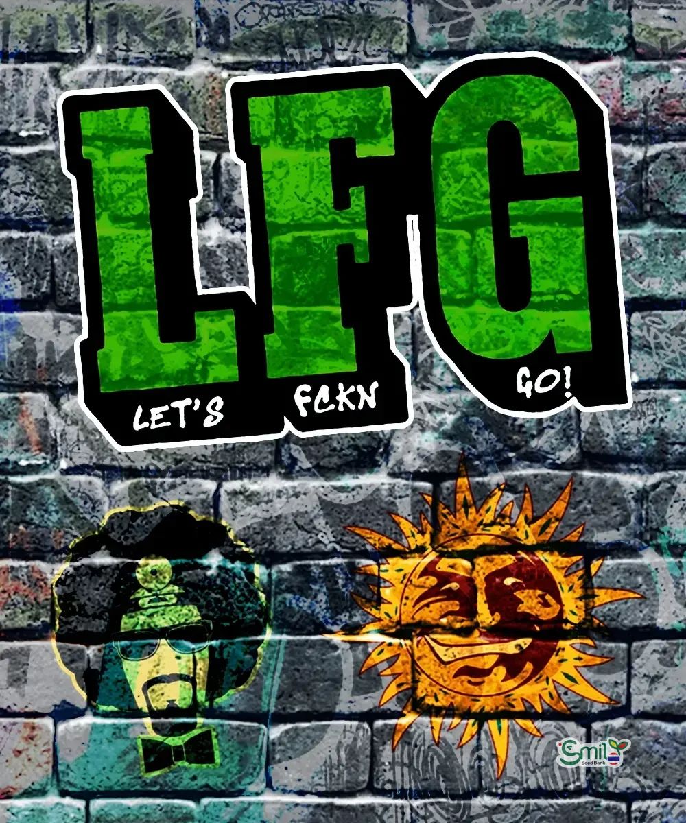 LFG — 4