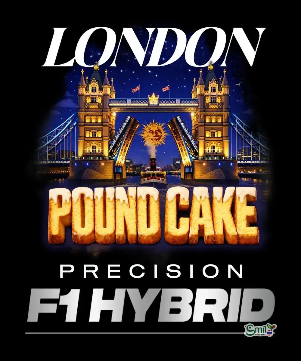 London Pound Cake F1 Hybrid — 5