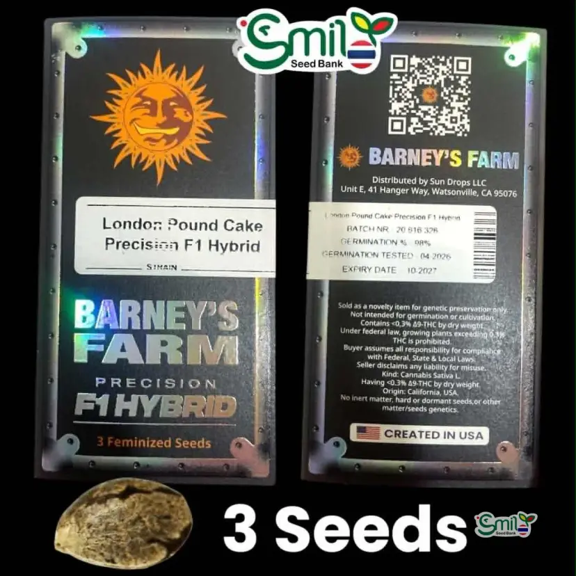 London Pound Cake F1 Hybrid — 1