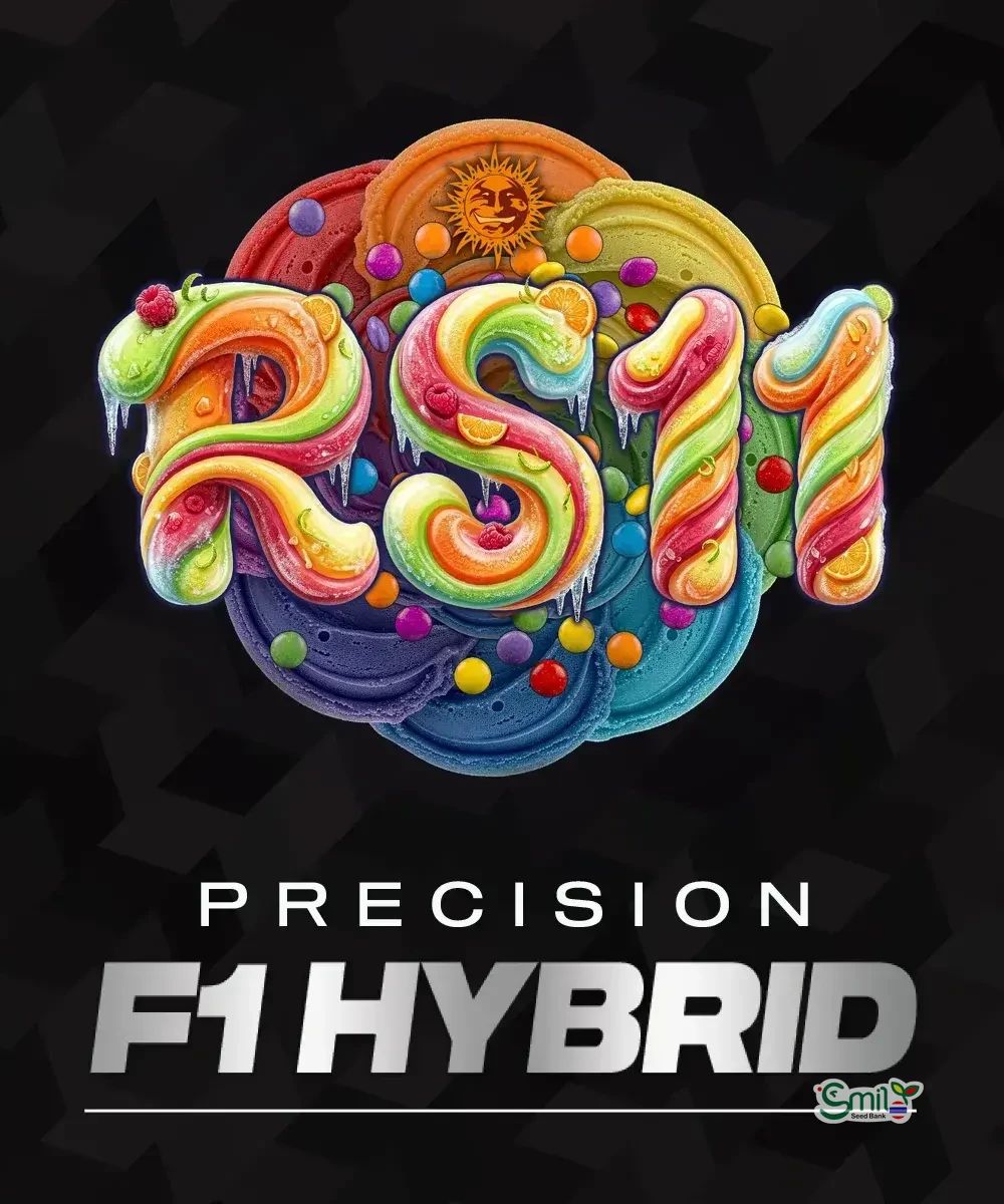 RS11 Precision F1 Hybrid — 3