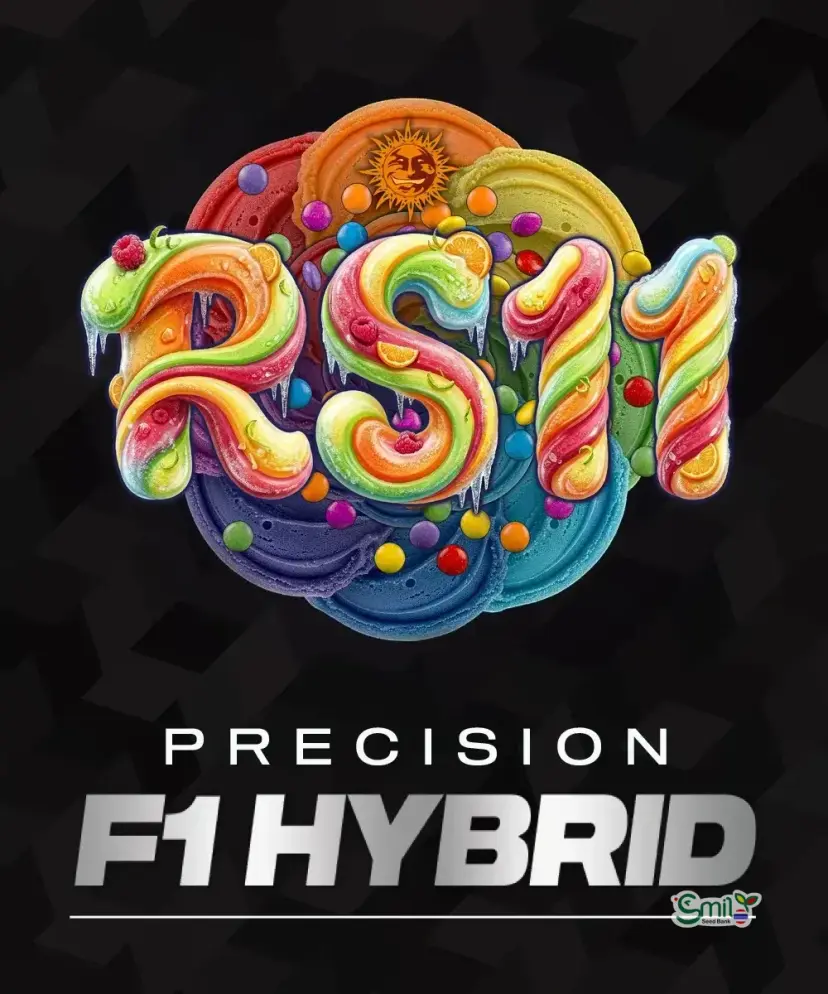 RS11 Precision F1 Hybrid — 3