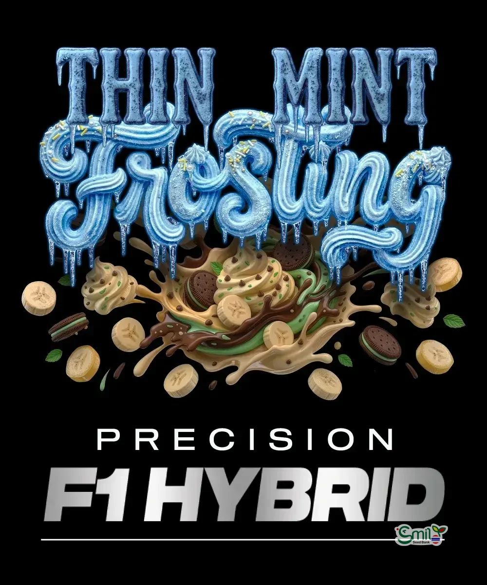 Thin Mint Frosting Precision F1 Hybrid — 4