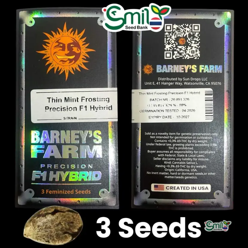 Thin Mint Frosting Precision F1 Hybrid — 1