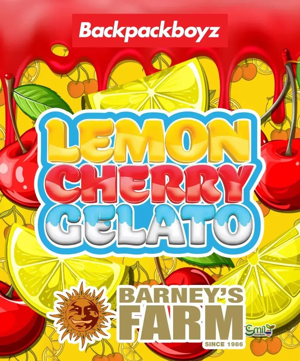 Lemon Cherry Gelato (Gift Pack) — 3